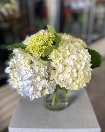 Hydrangea Flower Bouquet Flower Arrangement